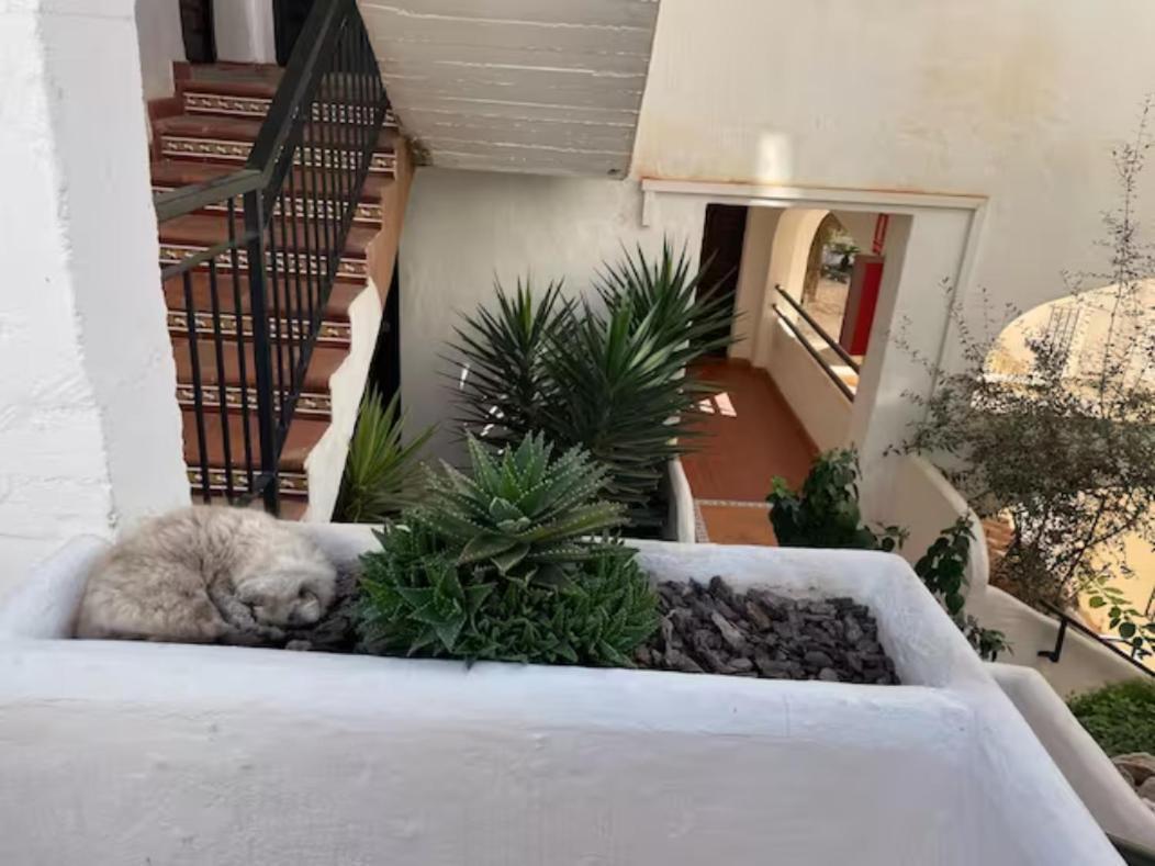 Pueblo Evita Apartment In Exclusive Holiday Complex Benalmádena Kültér fotó